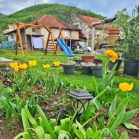 Daire Aleksandra 2 1 *